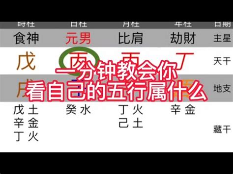 子 五行 屬性|【子五行屬什麼】揭曉「子」五行之謎：為何答案大不同？